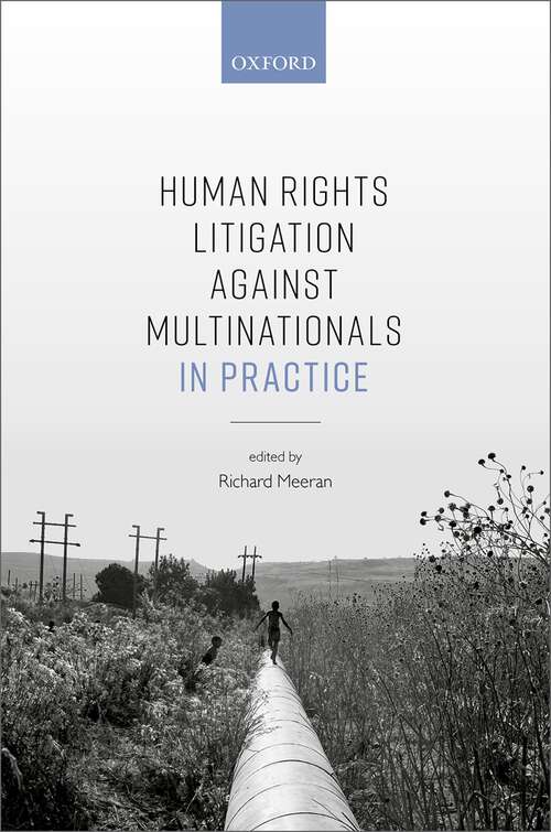 Book cover of Human Rights Litigation against Multinationals in Practice