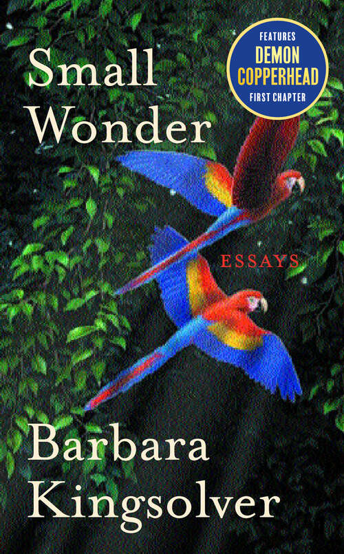 Book cover of Small Wonder: Essays (Main)