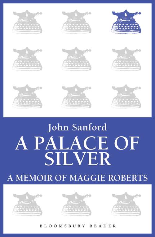 Book cover of A Palace of Silver: A Memoir Of Maggie Roberts