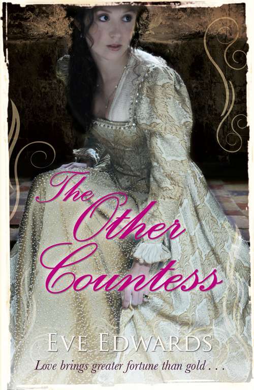 Book cover of The Other Countess (The Other Countess)