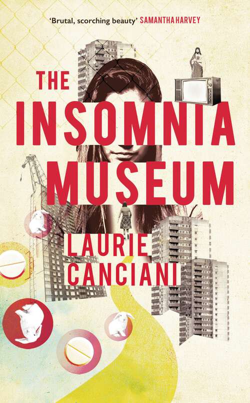 Book cover of The Insomnia Museum