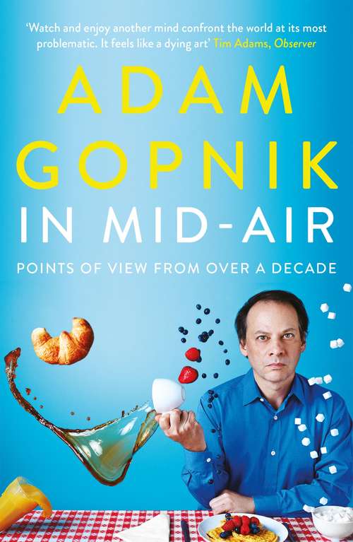 Book cover of In Mid-Air: Points of View from over a Decade