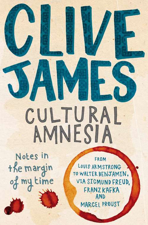 Book cover of Cultural Amnesia: Notes in the Margin of My Time (Picador Collection #16)