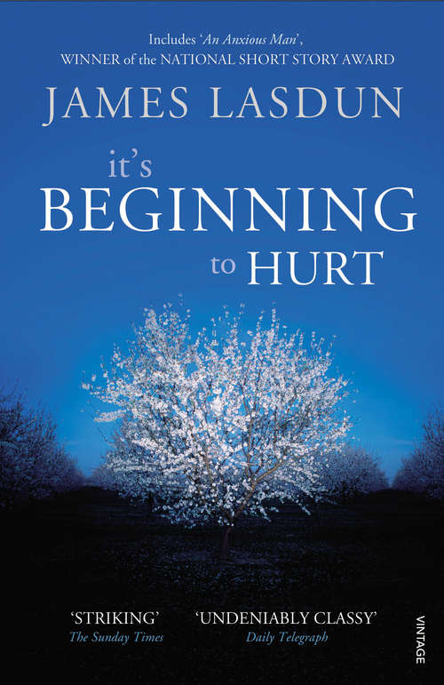 Book cover of It's Beginning To Hurt: Stories