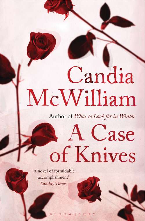 Book cover of A Case of Knives (Abacus Bks.)