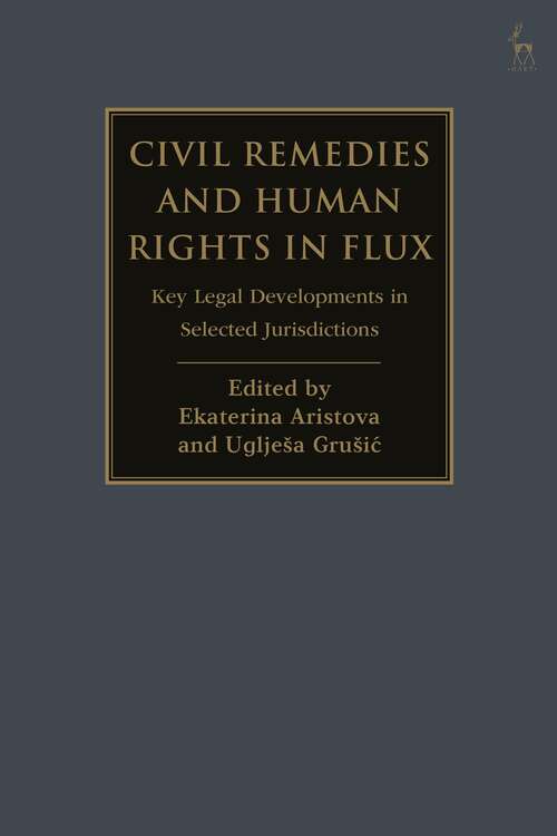 Book cover of Civil Remedies and Human Rights in Flux: Key Legal Developments in Selected Jurisdictions