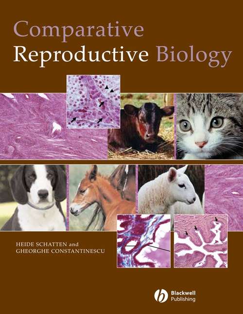 Book cover of Comparative Reproductive Biology
