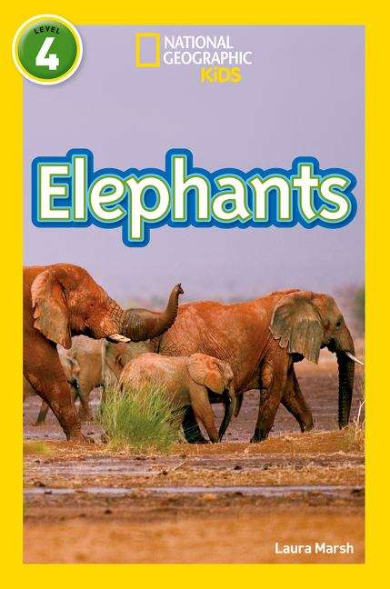Book cover of Elephants Level 4 (PDF) (National Geographic Readers Ser.)