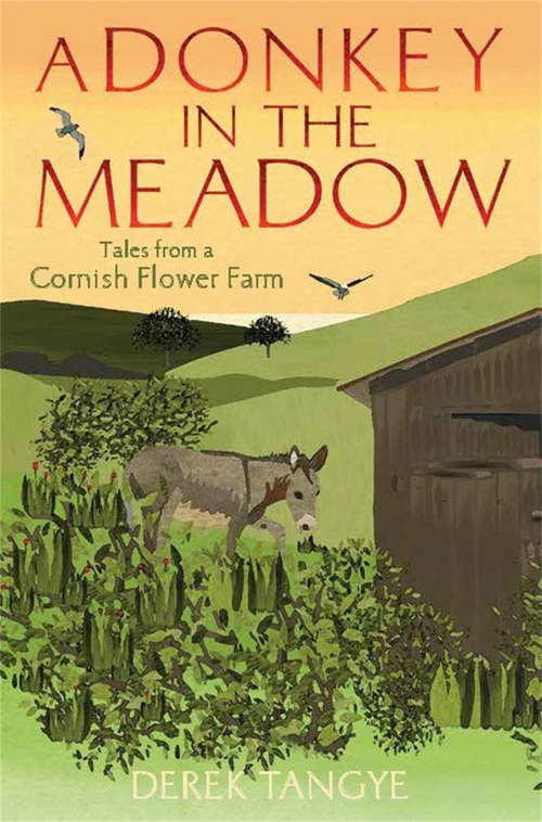 Book cover of A Donkey in the Meadow: Tales from a Cornish Flower Farm (Minack Chronicles #4)