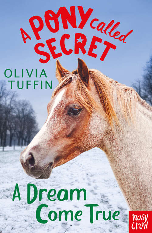 Book cover of A Dream Come True (A Pony Called Secret #4)