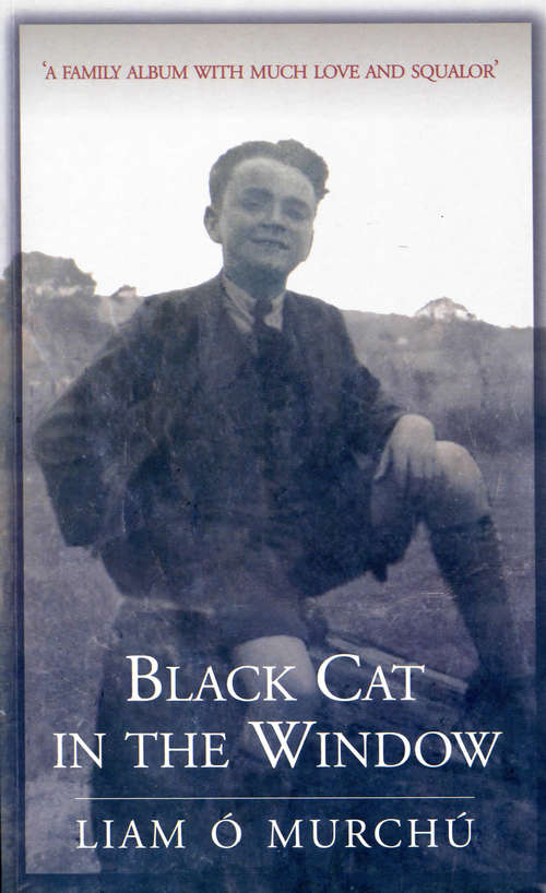 Book cover of Black Cat in the Window: A Family Album with Much Love and Squalor