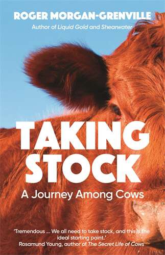 Book cover of Taking Stock: A Journey Among Cows