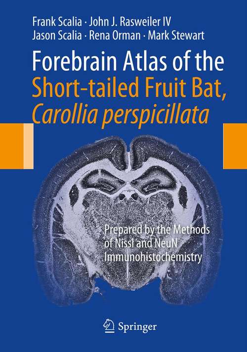 Book cover of Forebrain Atlas of the Short-tailed Fruit Bat, Carollia perspicillata: Prepared by the Methods of Nissl and NeuN Immunohistochemistry (2013)