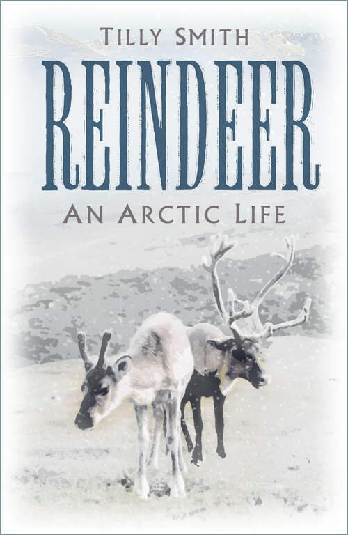 Book cover of Reindeer: An Arctic Life