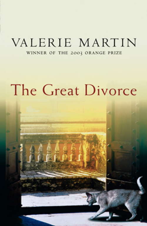 Book cover of The Great Divorce (Vintage Contemporaries Ser.)