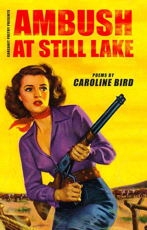 Book cover of Ambush at Still Lake