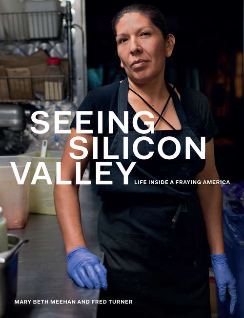 Book cover of Seeing Silicon Valley: Life inside a Fraying America