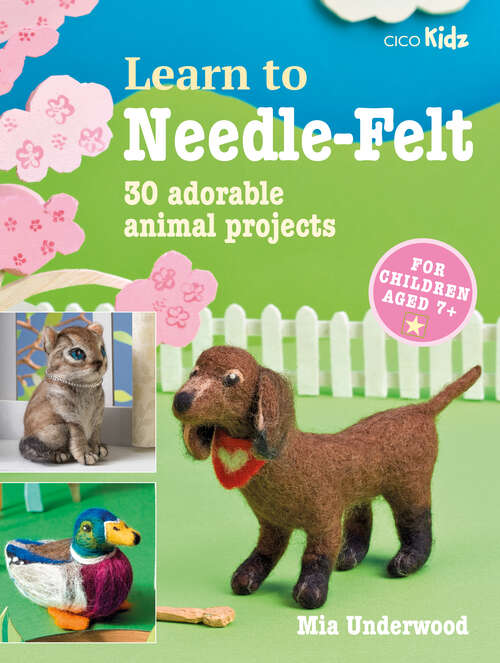 Book cover of Learn to Needle-Felt