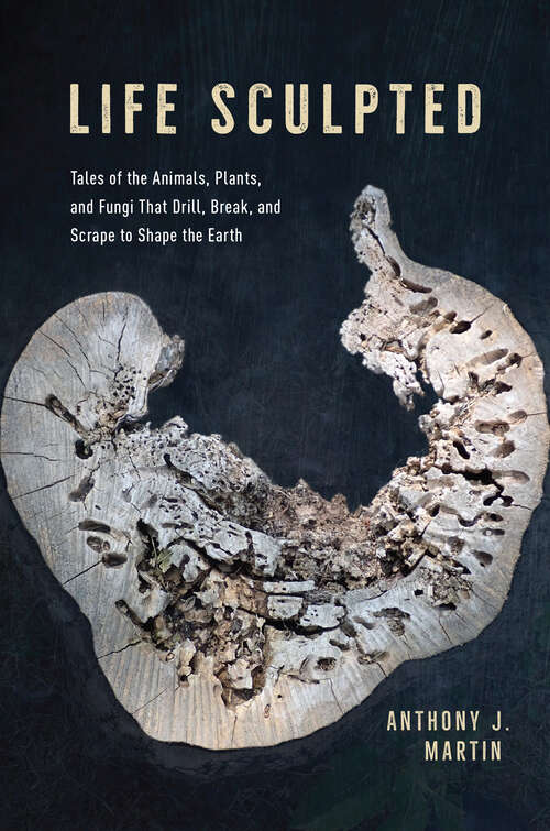 Book cover of Life Sculpted: Tales of the Animals, Plants, and Fungi That Drill, Break, and Scrape to Shape the Earth (Emersion: Emergent Village Resources For Communities Of Faith Ser.)