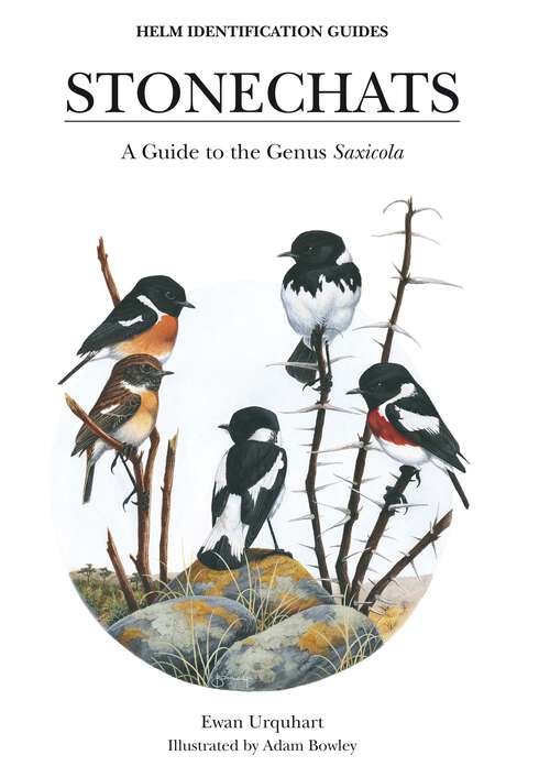 Book cover of Stonechats: A Guide To The Genus Saxicola (Helm Identification Guides)