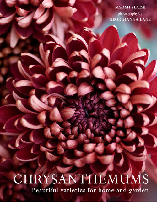 Book cover of Chrysanthemums: Beautiful varieties for home and garden