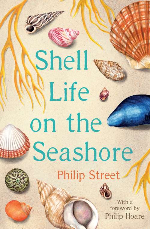 Book cover of Shell Life on the Seashore (Main)