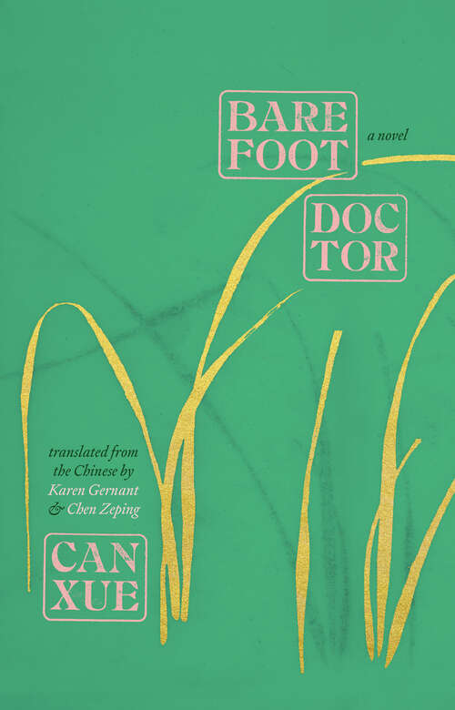 Book cover of Barefoot Doctor: A Novel (The Margellos World Republic of Letters)