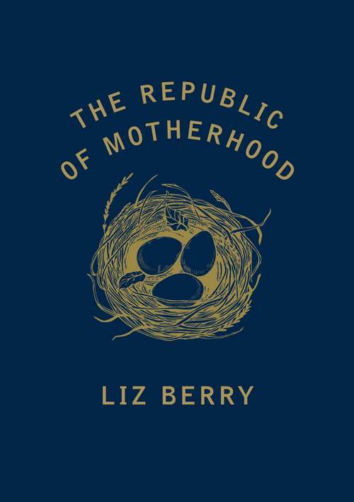 Book cover of The Republic of Motherhood