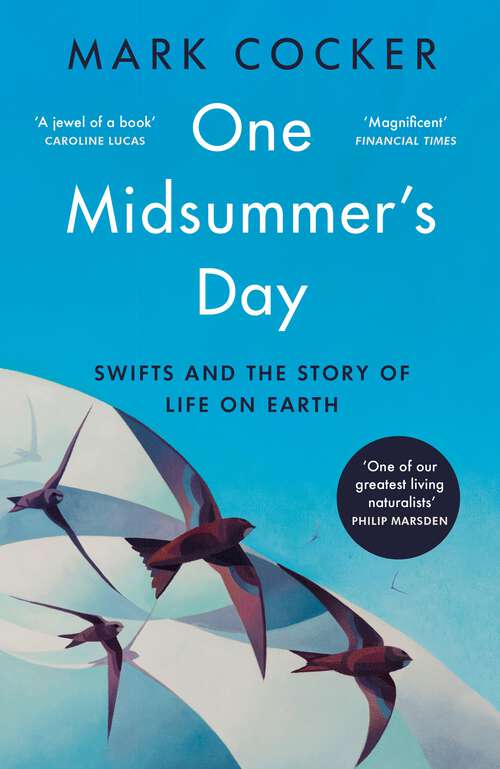 Book cover of One Midsummer's Day: Swifts and the Story of Life on Earth