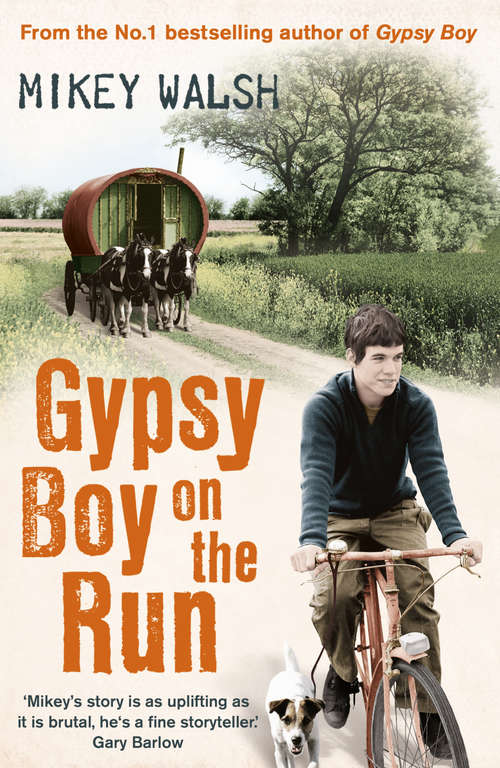 Book cover of Gypsy Boy on the Run: My Escape From A Life Among The Romany Gypsies (Gypsy Boy Ser. #2)