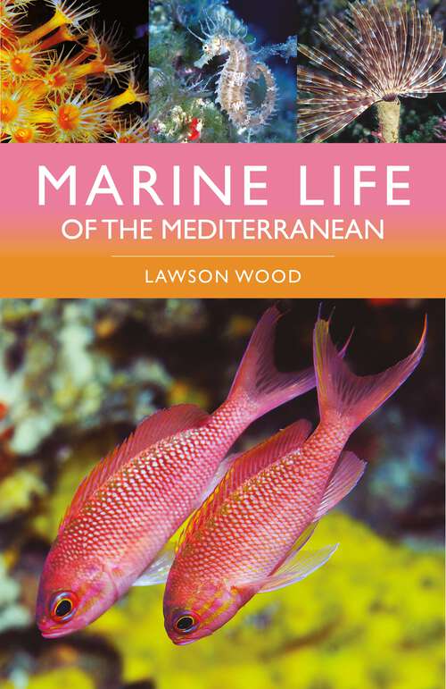 Book cover of Marine Life of the Mediterranean