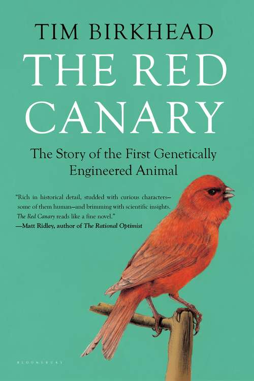 Book cover of The Red Canary: The Story of the First Genetically Engineered Animal