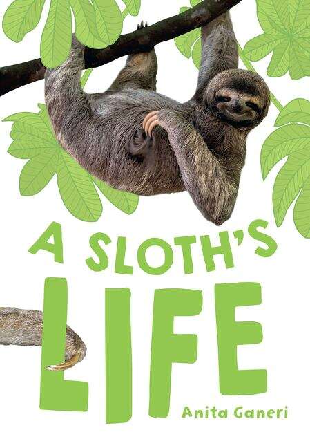 Book cover of Big Cat for Little Wandle Fluency — A SLOTH'S LIFE: Fluency 7