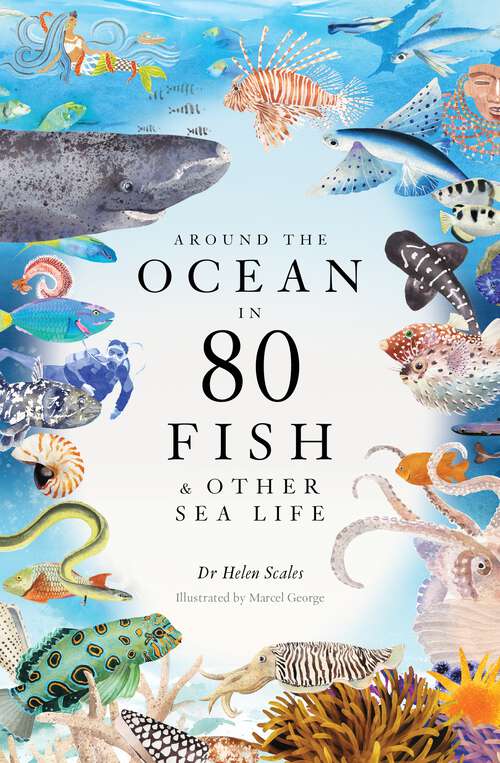 Book cover of Around the Ocean in 80 Fish and other Sea Life