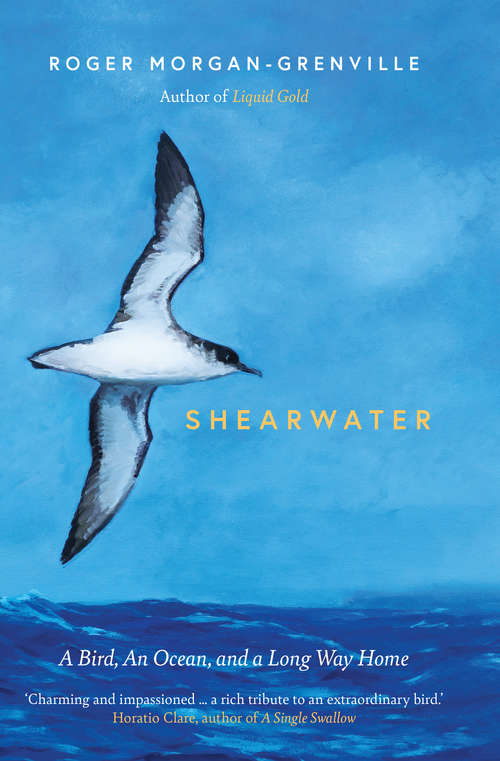 Book cover of Shearwater: A Bird, an Ocean, and a Long Way Home