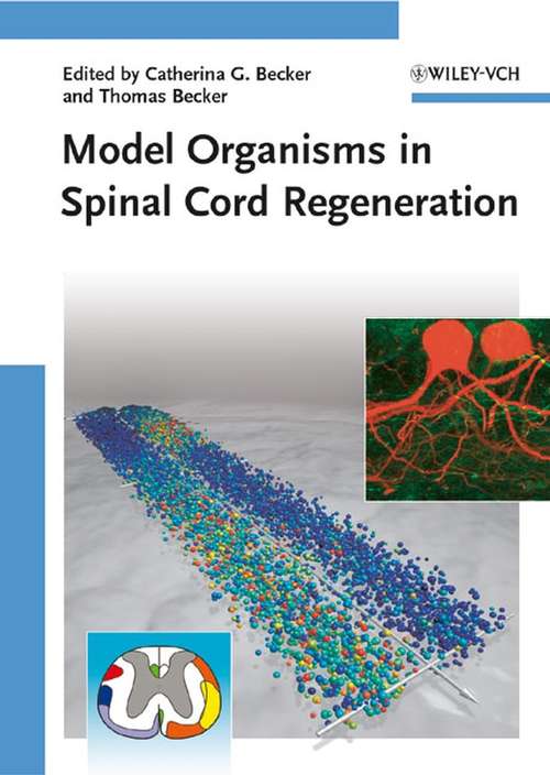 Book cover of Model Organisms in Spinal Cord Regeneration