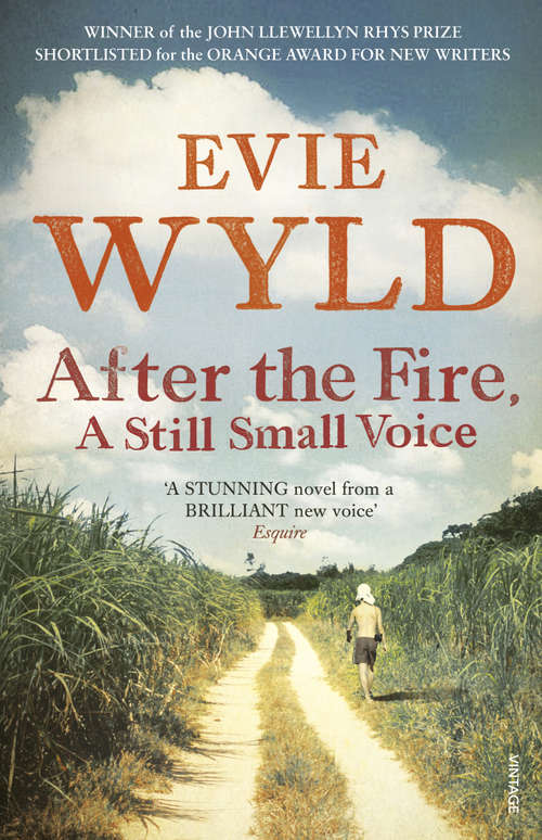 Book cover of After the Fire, A Still Small Voice