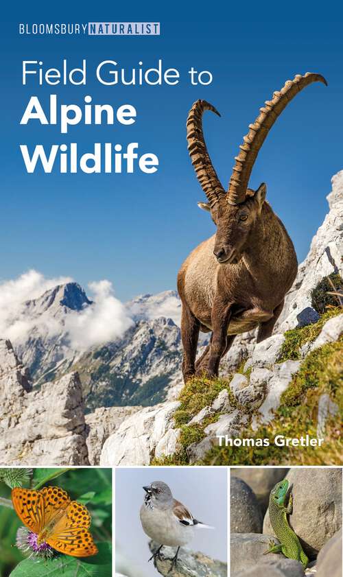 Book cover of Field Guide to Alpine Wildlife (Bloomsbury Naturalist)