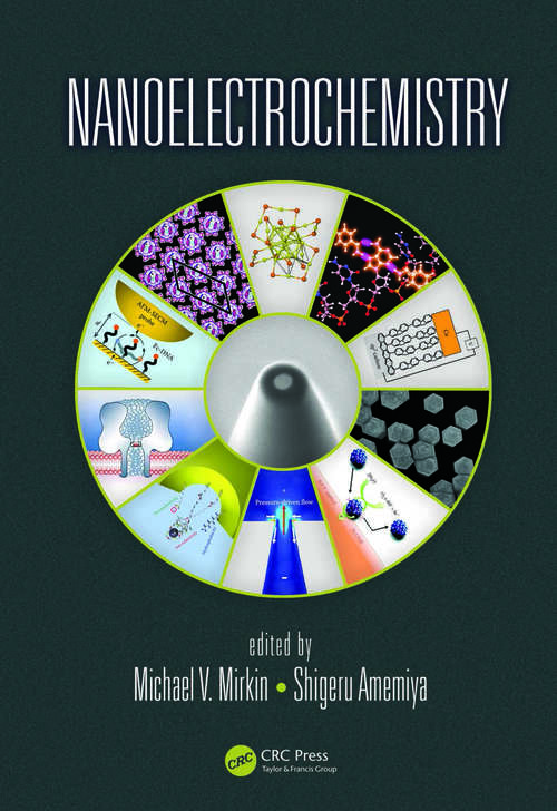 Book cover of Nanoelectrochemistry