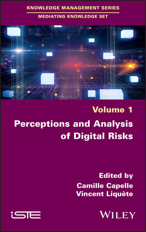 Book cover of Perceptions and Analysis of Digital Risks