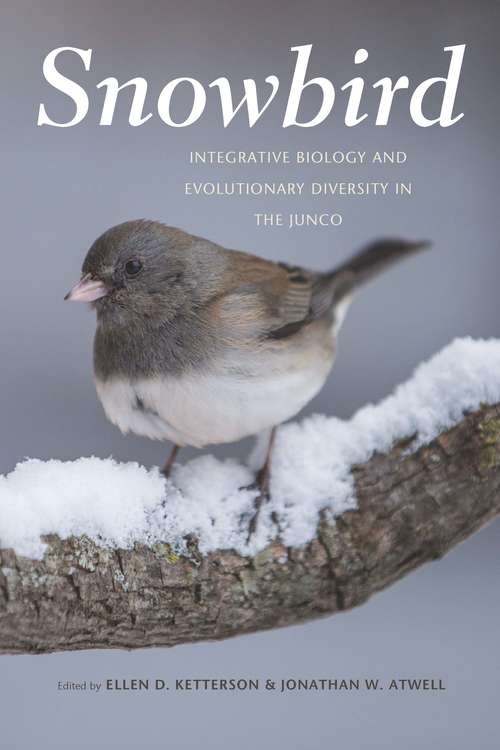 Book cover of Snowbird: Integrative Biology and Evolutionary Diversity in the Junco