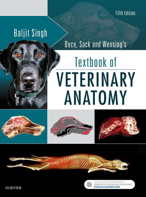 Book cover of Dyce, Sack, and Wensing's Textbook of Veterinary Anatomy (Fifth Edition) (PDF)
