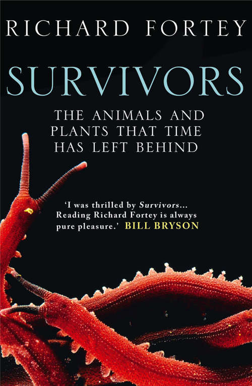 Book cover of Survivors (Text Only): The Animals And Plants That Time Has Left Behind (ePub edition)