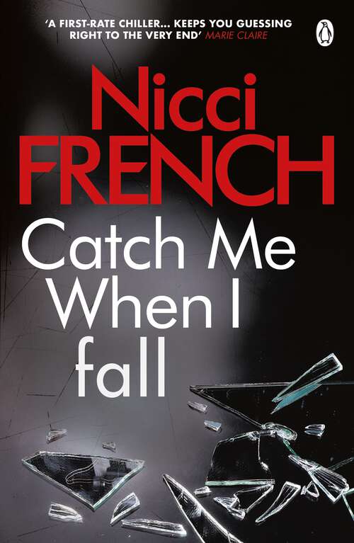 Book cover of Catch Me When I Fall (Thorndike Basic Ser.)