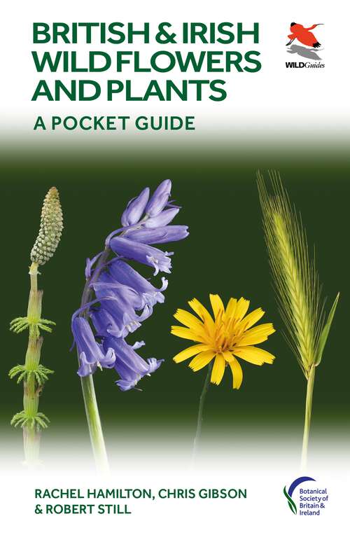 Book cover of British and Irish Wild Flowers and Plants: A Pocket Guide (WILDGuides #117)