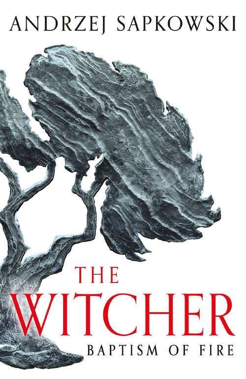 Book cover of Baptism of Fire (The Witcher #3)