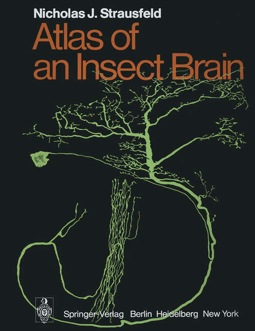 Book cover of Atlas of an Insect Brain (1976)