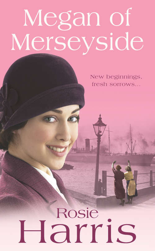 Book cover of Megan of Merseyside: New Beginnings, Fresh Sorrows...