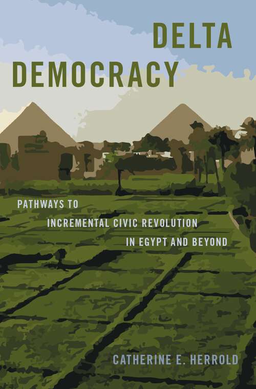 Book cover of Delta Democracy: Pathways to Incremental Civic Revolution in Egypt and Beyond (Bridging the Gap)