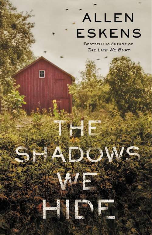 Book cover of The Shadows We Hide